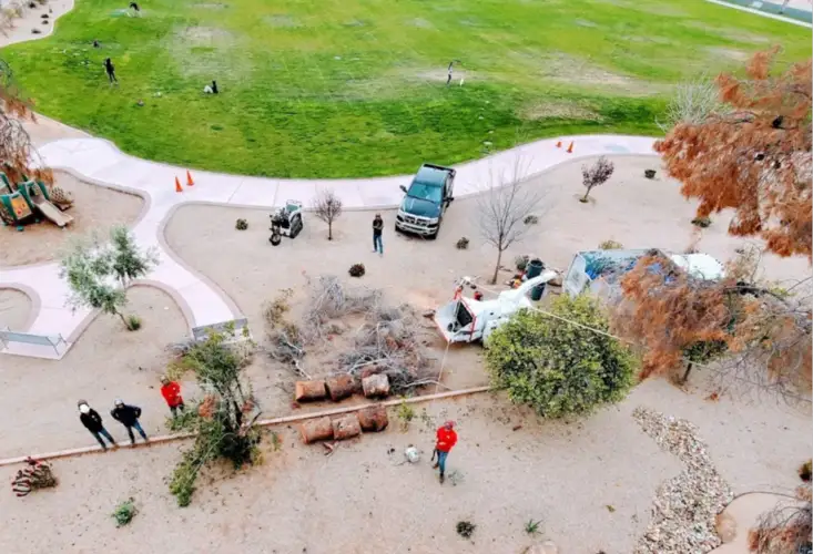 Aerial view of commercial tree service crew with equipment at park in Springfield, MO