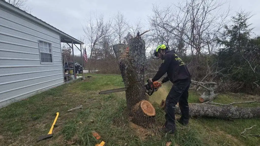Tony Kerley cutting a tree with a chainsaw during a tree removal in Springfield, MO