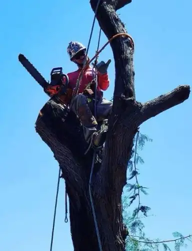 Fair Transparent Pricing